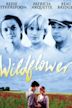 Wildflower (1991 film)