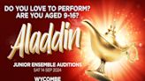 Vernon Kay needs a co-star in Aladdin panto - could it be you?