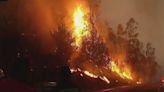 Ola de calor afecta a miles de personas en el sureste de EEUU: riesgo de incendios forestales es más frecuente