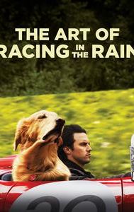 The Art of Racing in the Rain (film)