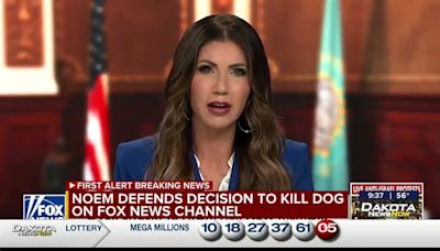 Noem defends decision to kill dog on ‘Hannity’