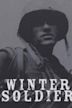 Winter Soldier (film)