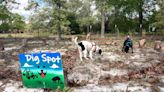 Rent your yard as a dog park? This app is fetching attention in Columbia