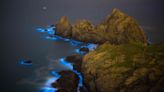 The 10 Best Beaches to See Bioluminescence