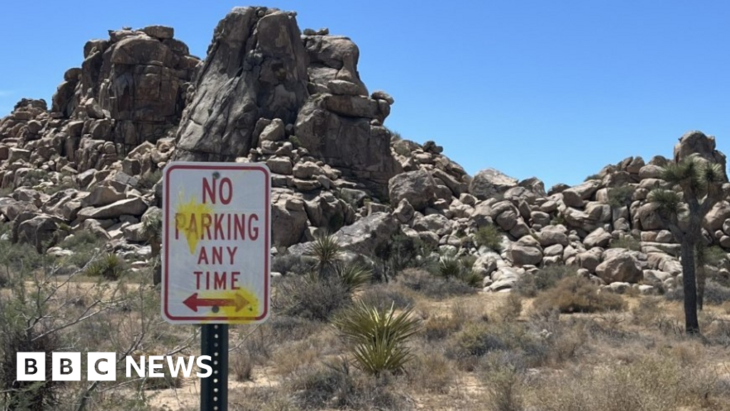 German tourists accused of defacing Joshua Tree National Park