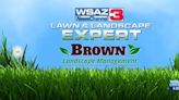 Lawncare tips with Brown Landscape Management
