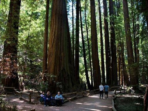 ¿Quieres refrescarte? Escapa del calor de Stanislaus con excursiones de un día