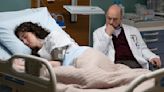 Uh-Oh, Is 'The Good Doctor' Going to End With Dr. Glassman's Death?