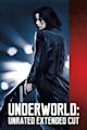 Underworld (film series)
