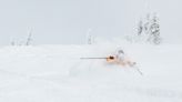 Best Powder Skis of 2024