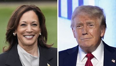 Trump and Harris enter 99-day sprint to decide an election that has suddenly transformed