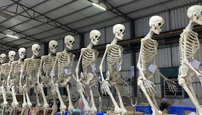 Home Depot's Gigantic Skelton 'Skelly' Is Already Sold Out | Entrepreneur