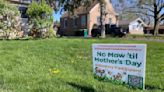 ‘No Mow May’ is a little helpful, but native plants are better, experts say