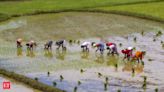 West Bengal agriculture minister outlines impact on climate change on rice production