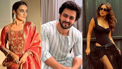 Bigg Boss 18 contestants list: Shoaib Ibrahim, Surbhi Jyoti to Nia Sharma