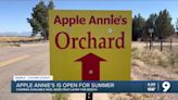 A cherry on top: Apple Annie's opens for cherry pickin'