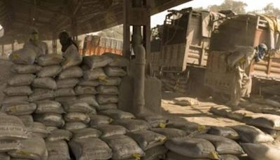 India Cements share price rises 5% to 52 -week high: Anand Rathi expects another 28% gains for the stock. Here’s why | Stock Market News