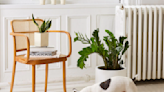 The Best Indoor Plants To Bring a Little Life To Your Living Room