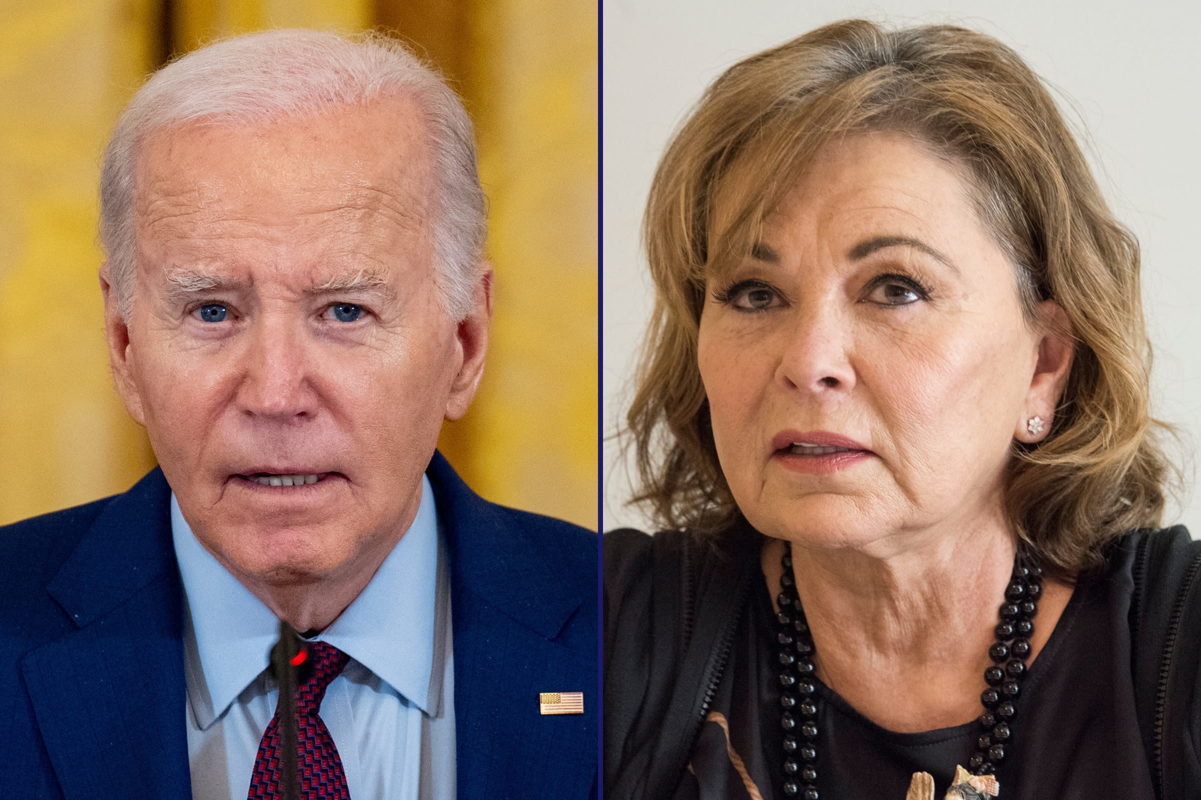 Roseanne Barr's Joe Biden remarks spark fury