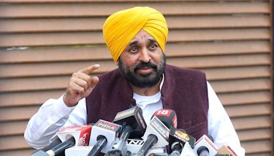 AAP to fight Haryana polls solo. ‘Familial ties between people of Haryana, Punjab will help,’ says Mann