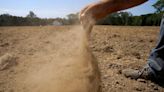 Fact Check Team: US farmers at risk as Mexico delays water deliveries under treaty