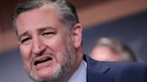 'Pathetic Shell' Ted Cruz Gets Blunt Reminder After Over-The-Top Trump Defense