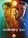 Ordinary Joe