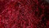 Red gold: Climate change plays role as saffron cultivation comes to Nova Scotia