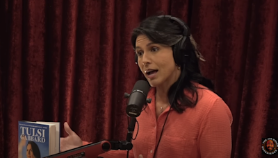 Tulsi predicts doomsday scenario for freedom if Biden admin reelected, says this future 'cannot be allowed'