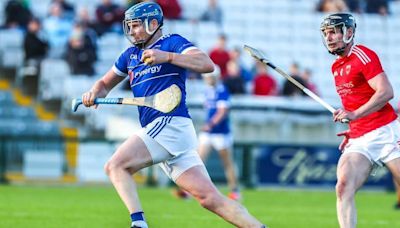 Waterford SHC round up: Austin Gleeson shoots Mount Sion into quarter finals