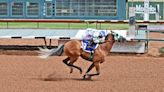 See morning-line odds, post positions for All American Futurity, Oaks, Derby