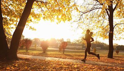 6 ways to make the most of autumn - from wild swimming to forest baths