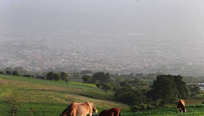 ¿Por qué el polvo del Sahara cuida de nosotros cuando llueve?