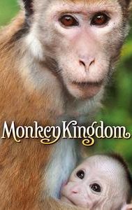 Monkey Kingdom