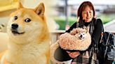 Kabosu, la Shiba Inu más famosa del mundo que inspiró el meme Doge, fallece a los 18 años