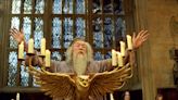 'Raise your wands': Social media flooded with fan tributes to Dumbledore actor Michael Gambon