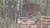 Custer State Park introduces archery hunting this season and expands the number of licenses available