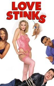 Love Stinks (film)