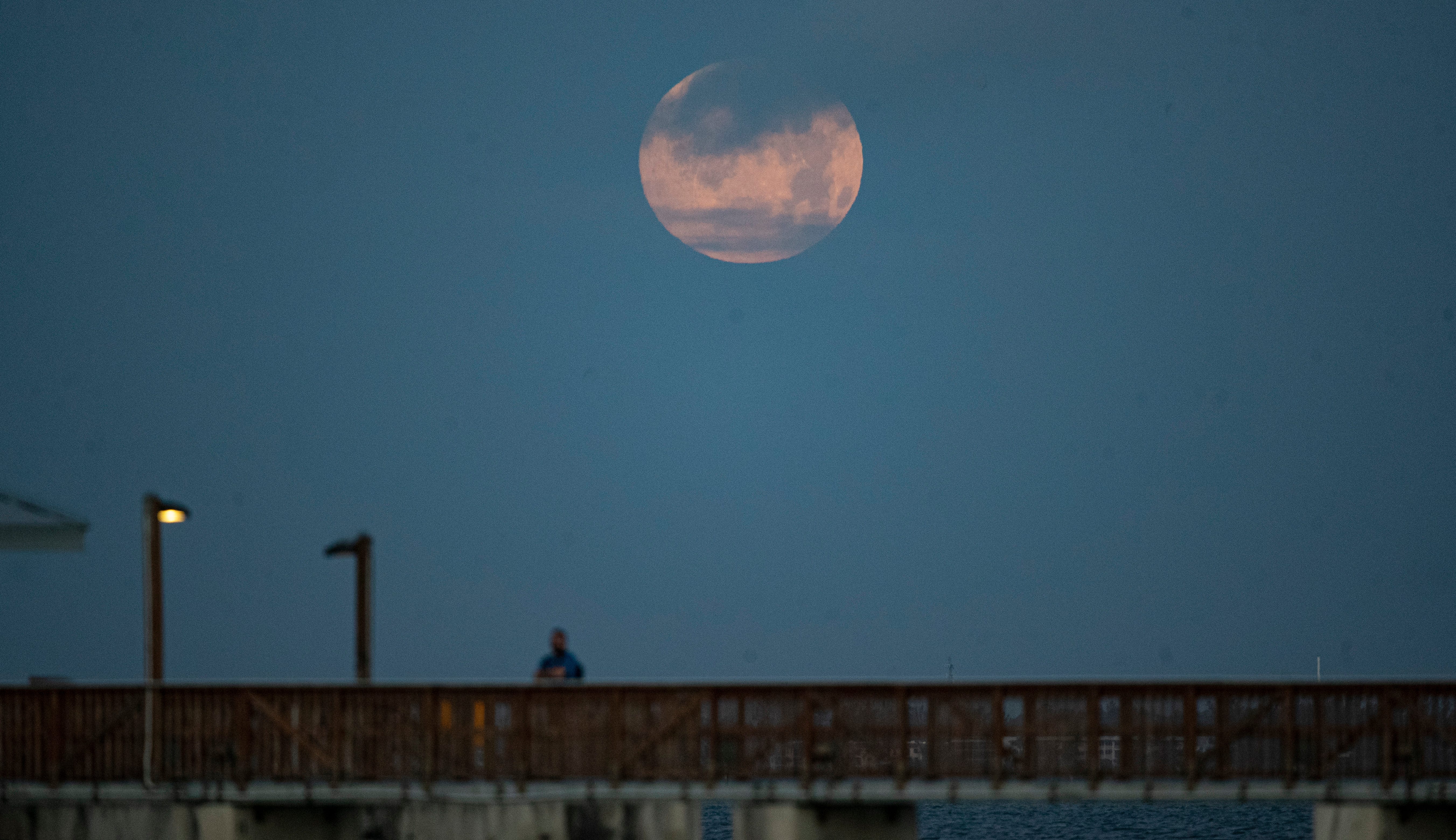 'Pink' moon to appear in April skies: When it is, what to know