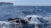 Pod of Orcas Attack Couple's Yacht Midway Through Sailing Training Course in Morocco