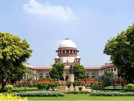 Lakhimpur violence case: Supreme Court grants bail to former Union minister's son Ashish Mishra, modifies conditions | India News - Times of India