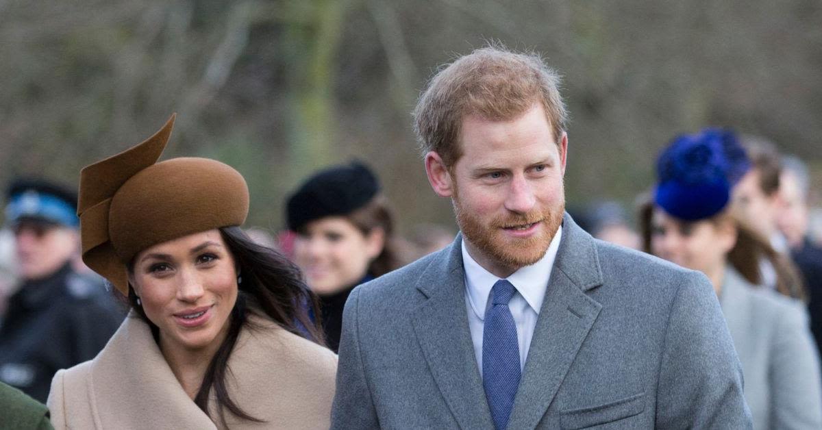 Meghan Markle Believes Prince Harry Being a 'Controversial Royal' Helps Their American Rebrand