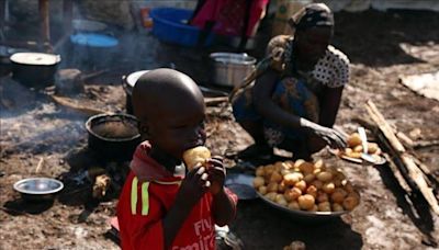 Nearly 26 million people in Sudan are 'acutely hungry': UN