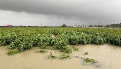 台南麻豆埤頭淹水4天水深及胸！陳亭妃呼籲檢討排水系統｜壹蘋新聞網