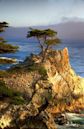 Pebble Beach, California