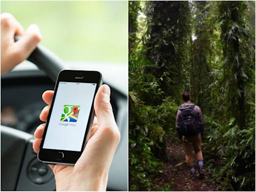 Nightmare! How Google Maps Left Odisha Students Stranded In Jungle For 11 Hrs Due To Wrong Directions