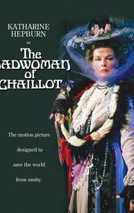 The Madwoman of Chaillot (film)