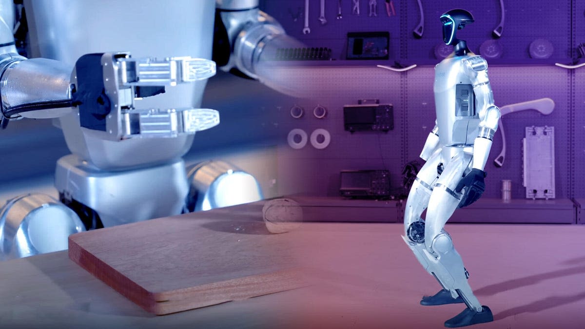 Unitree G1 vs. Boston Dynamics Atlas: Hypermobility in Humanoid Robots - Video