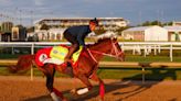 Continuar jockey, trainer and owner: What you need to know about Kentucky Derby 2023 horse