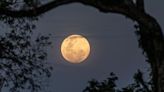 Super rare 'lunar standstill' moon to appear - full list of dates you can see it